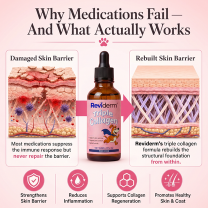 Skin & Coat Triple Collagen