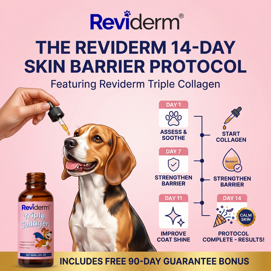 The 14-Day Skin Barrier Protocol